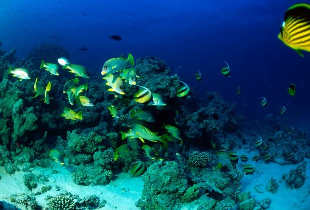 HURGHADA SI CELE MAI IMPORTANTE MOTIVE PENTRU CARE VREI SA FACI MACAR O DATA IN VIATA O CALATORIE IN EGIPT