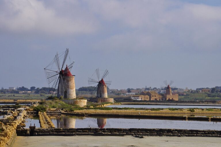 salina
