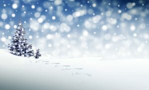 vacanta