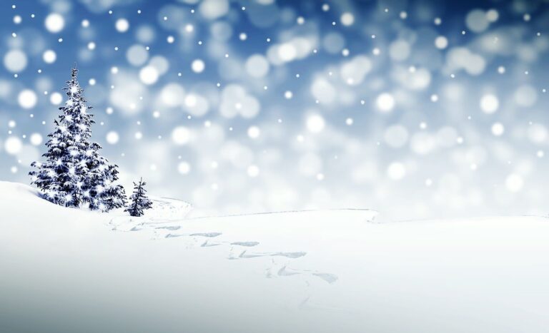 vacanta