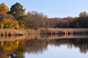 lac artificial in gradina