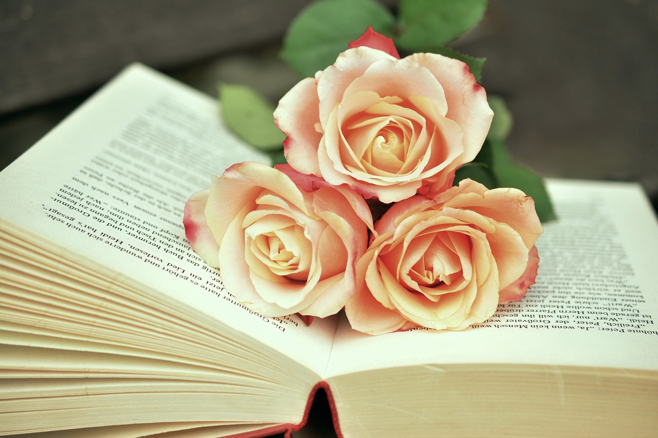 10 combinatii interesante de flori in gradina
