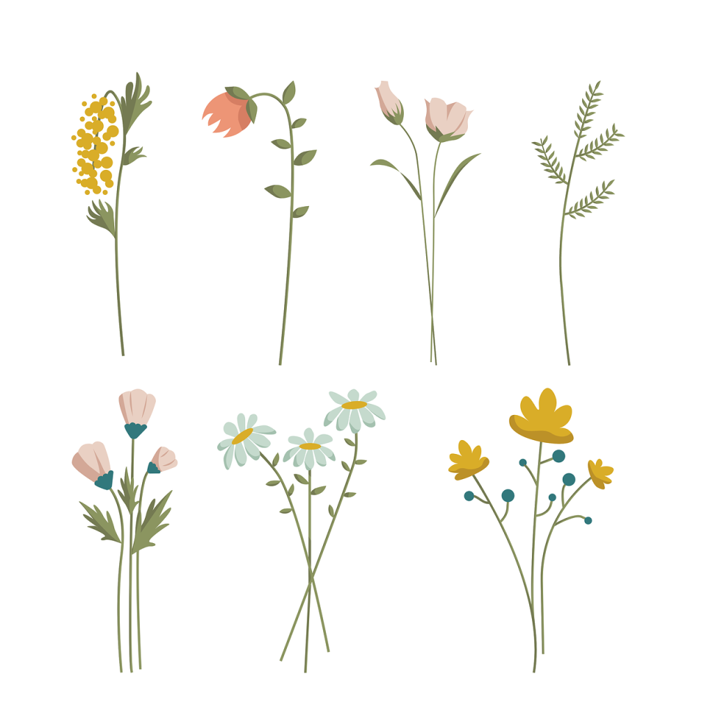 semanarea florilor in gradina