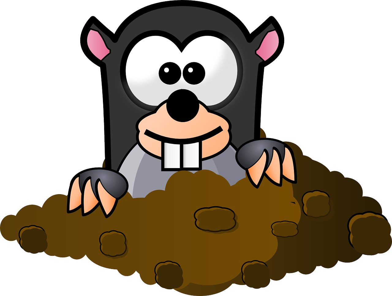 Ce sa faci daca ai o cartita in gradina de legume?