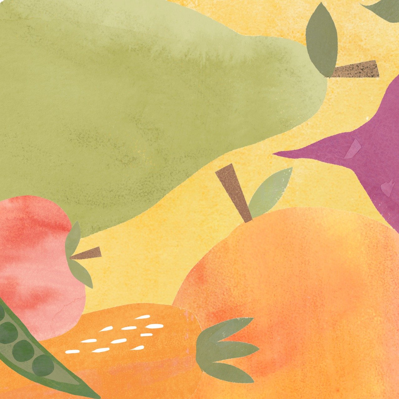 plantarea capsunilor cu folie de mulcire