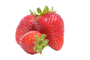 capsuni plantare primavara
