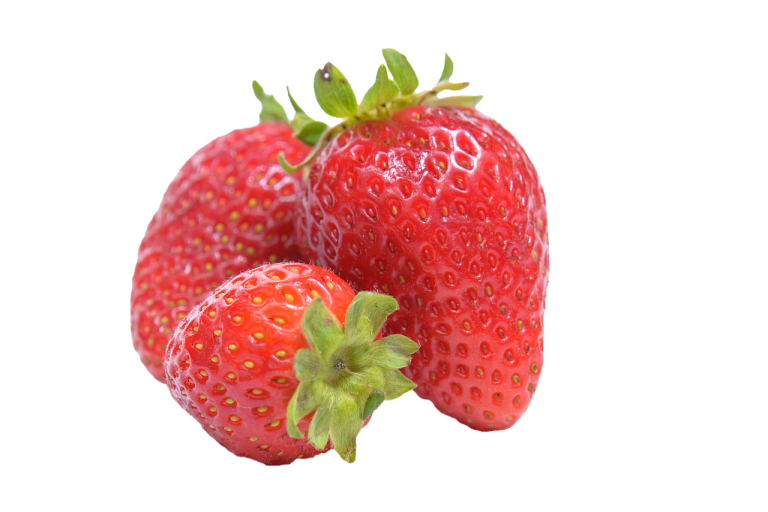 capsuni plantare primavara