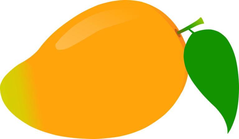 plantare mango din sambure