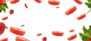 distanta plantare capsuni