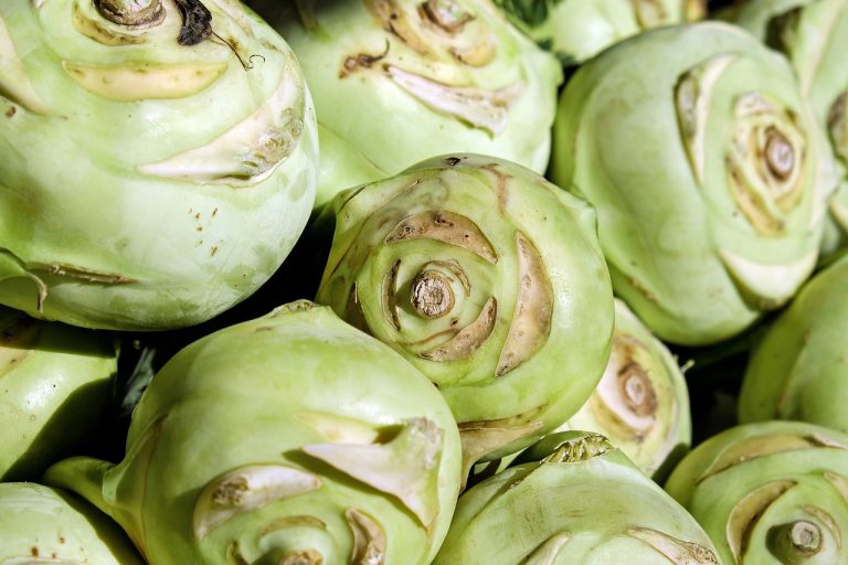plantare varza de toamna