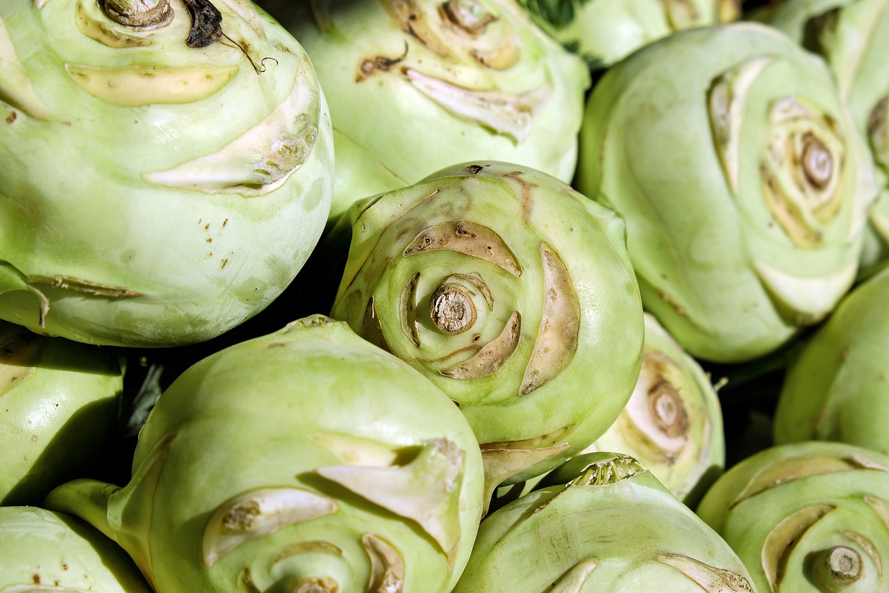 plantare varza de toamna
