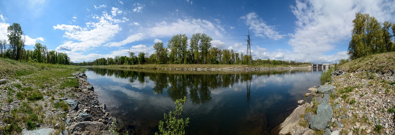 Plantarea murului primavara	– ghid cu pasi simpli