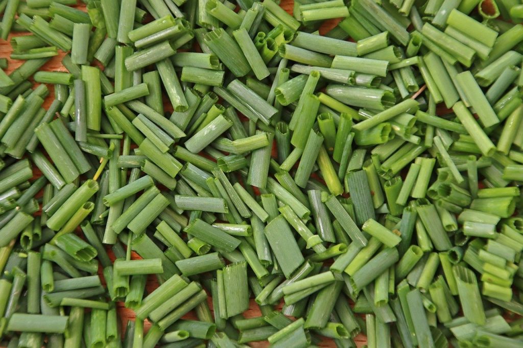 tratament arpagic inainte de plantare