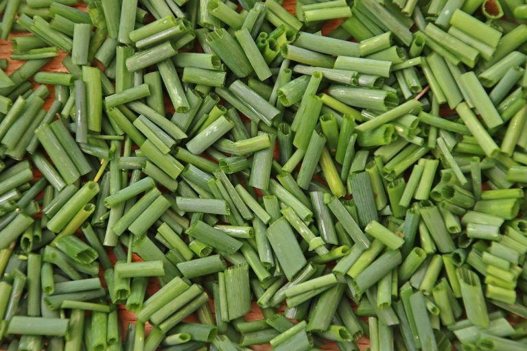 tratament arpagic inainte de plantare