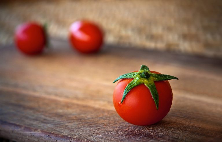 udarea rasadurilor de rosii dupa plantare