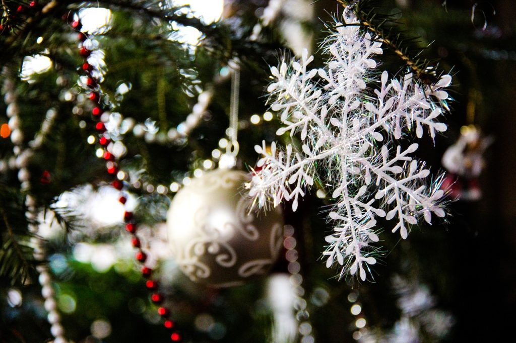 ce inseamna cursa charter