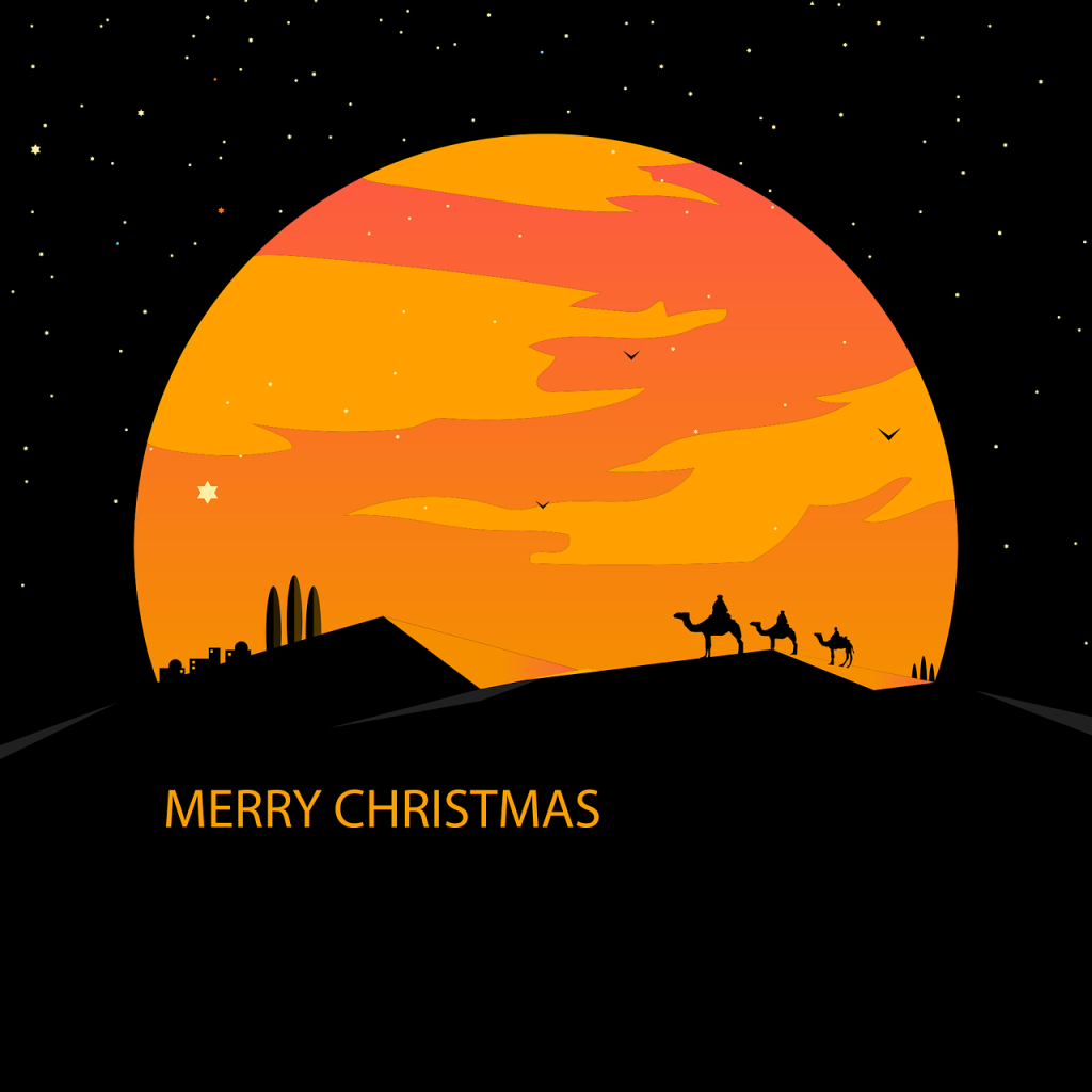 ce inseamna bagaj de cala