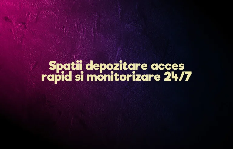 Spatii depozitare acces rapid si monitorizare 24/7