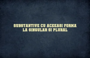 substantive cu aceeasi forma la singular si plural