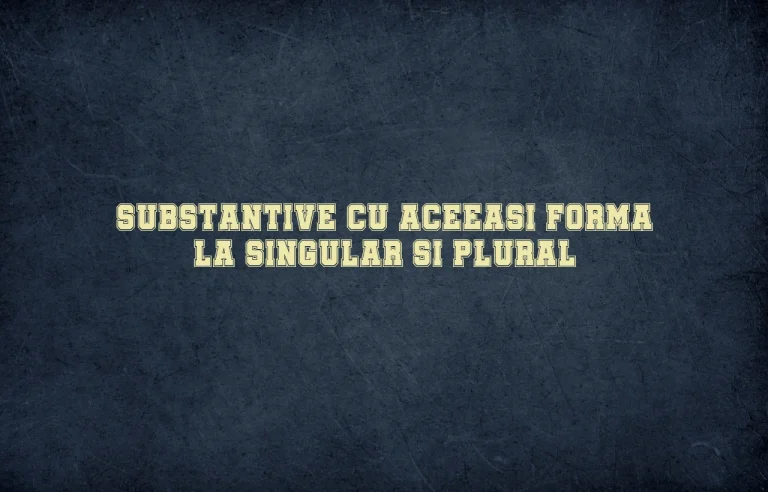 substantive cu aceeasi forma la singular si plural