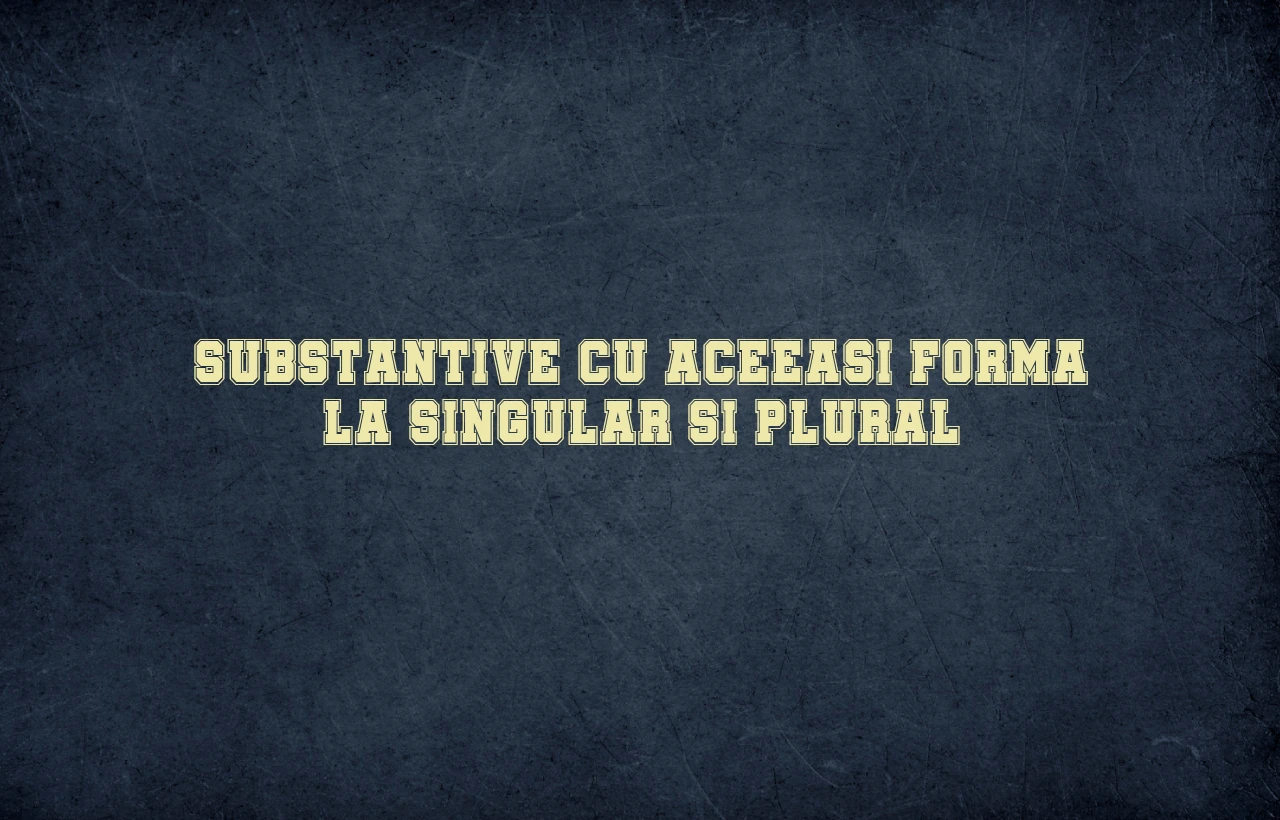 Substantive cu aceeasi forma la singular si plural