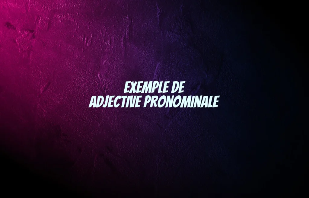 exemple de adjective pronominale