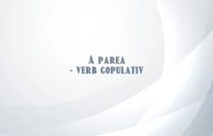 a parea verb copulativ