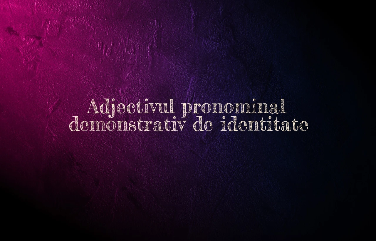Adjectivul pronominal demonstrativ de identitate