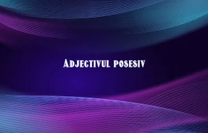 adjectiv posesiv