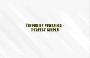 timpurile verbelor perfect simplu