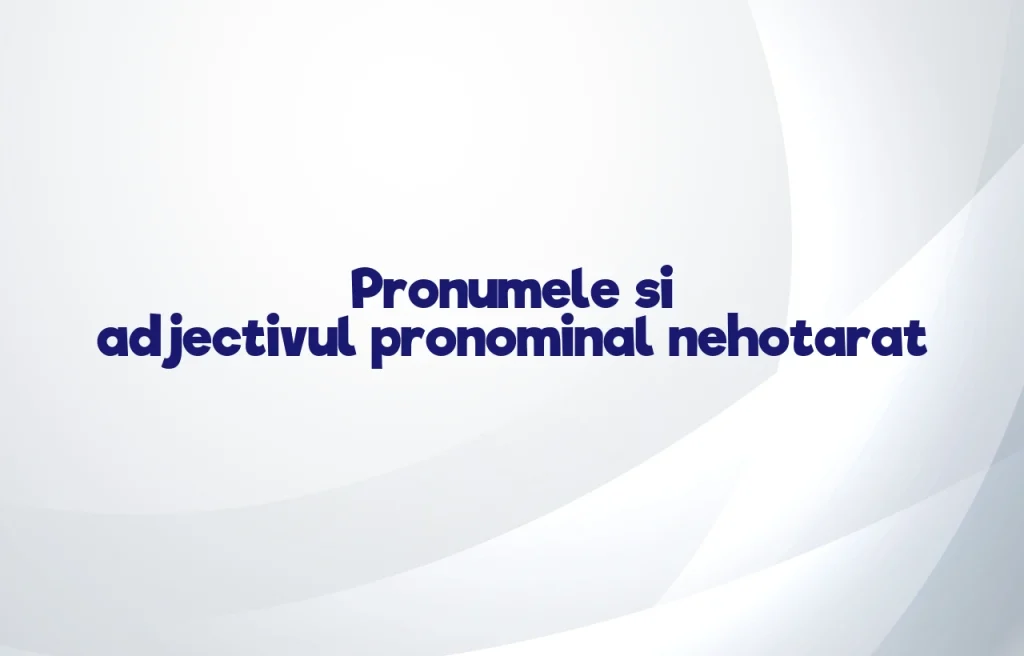 pronumele si adjectivul pronominal nehotarat