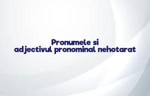 pronumele si adjectivul pronominal nehotarat
