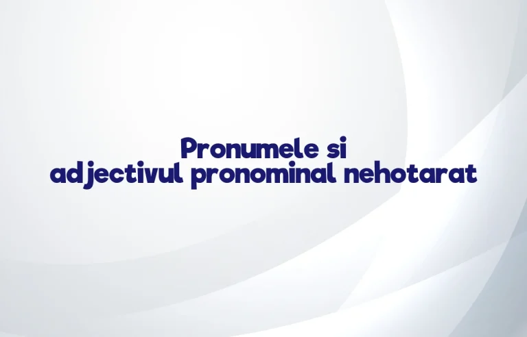 pronumele si adjectivul pronominal nehotarat