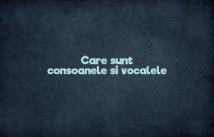 care sunt consoanele si vocalele