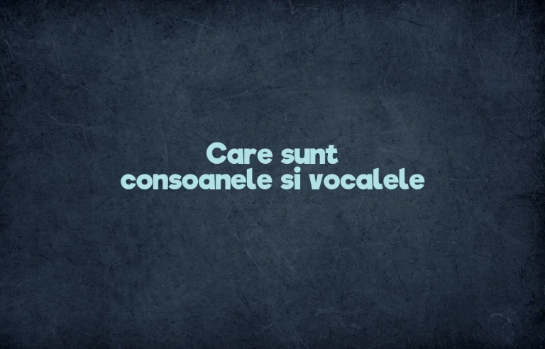 care sunt consoanele si vocalele