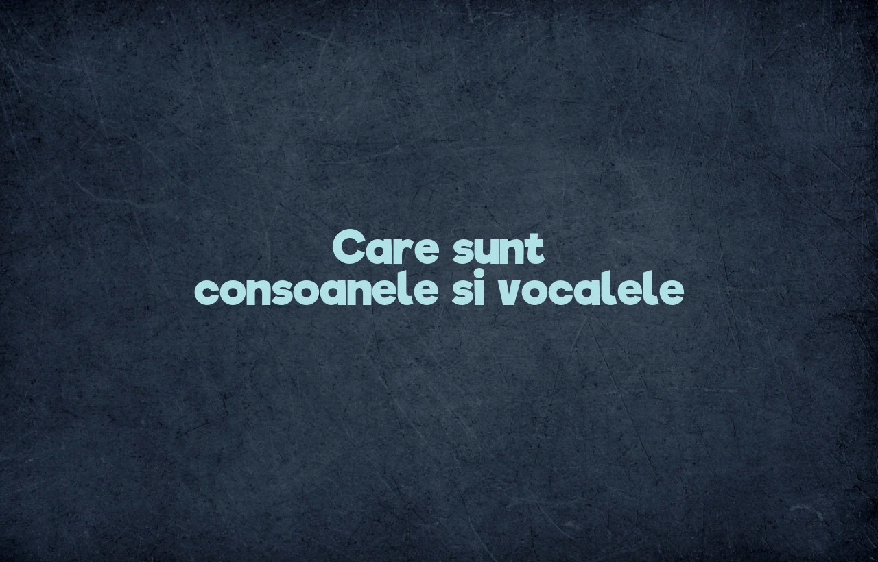 Care sunt consoanele si vocalele