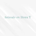 animale cu litera y