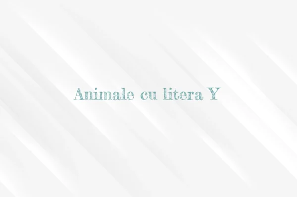 Animale cu litera Y