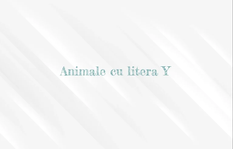animale cu litera y