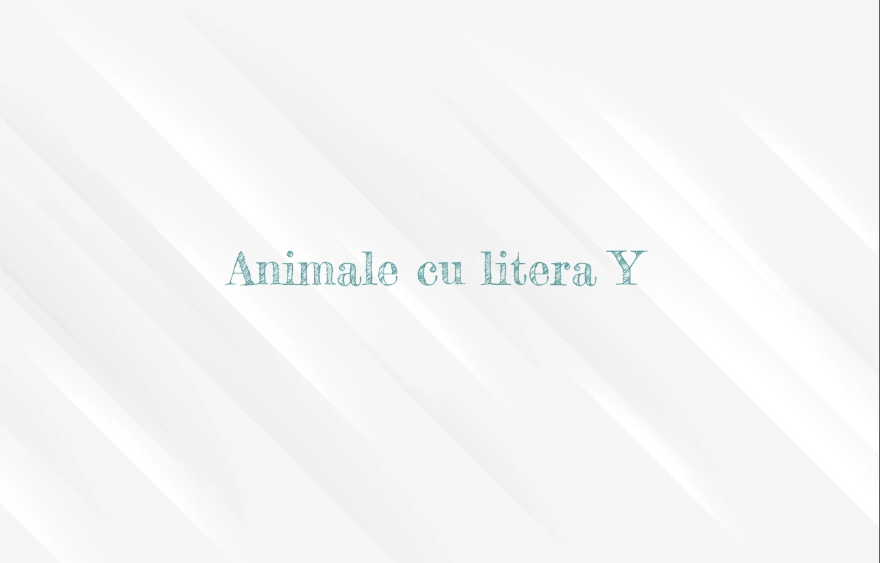 Animale cu litera Y