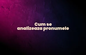 cum se analizeaza pronumele