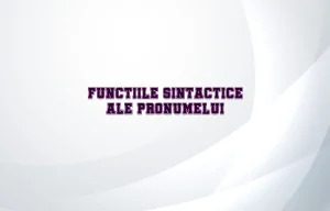 functii sintactice pronume