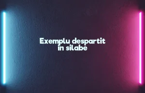 exemplu despartit in silabe