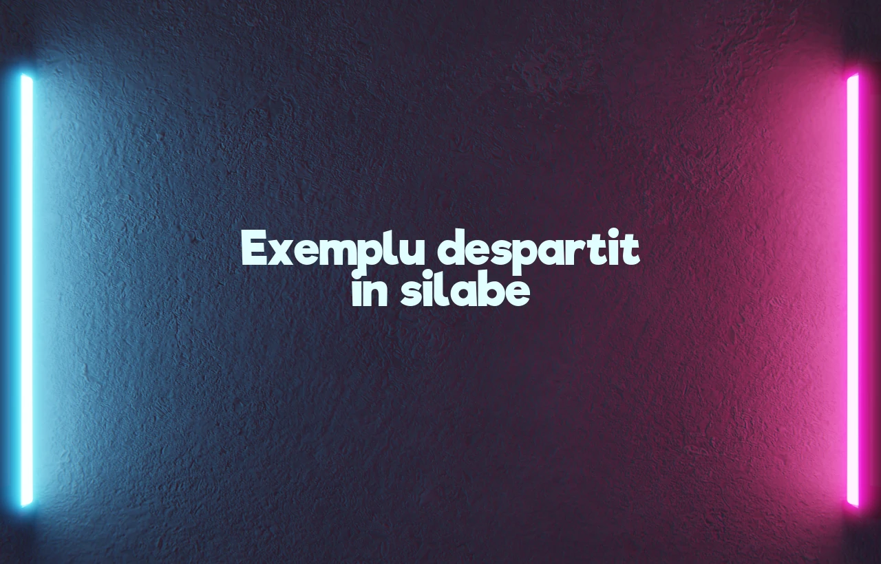 Exemplu despartit in silabe