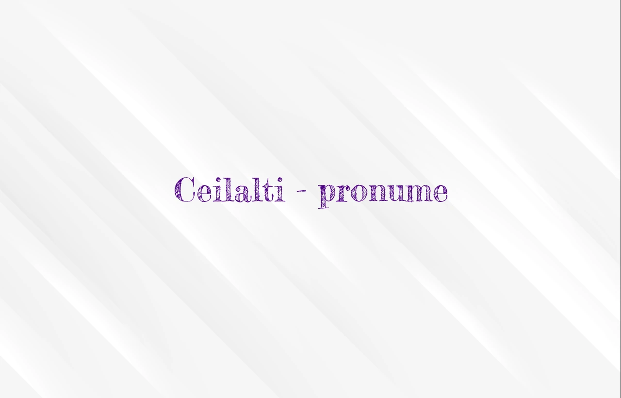 Ceilalti – pronume