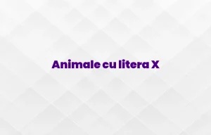 animale cu litera x