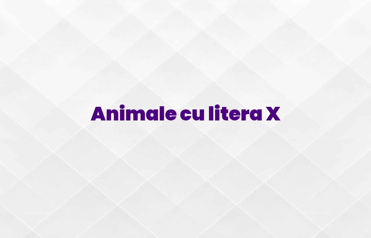 Animale cu litera X