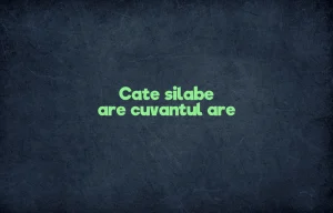 cate silabe are cuvantul are