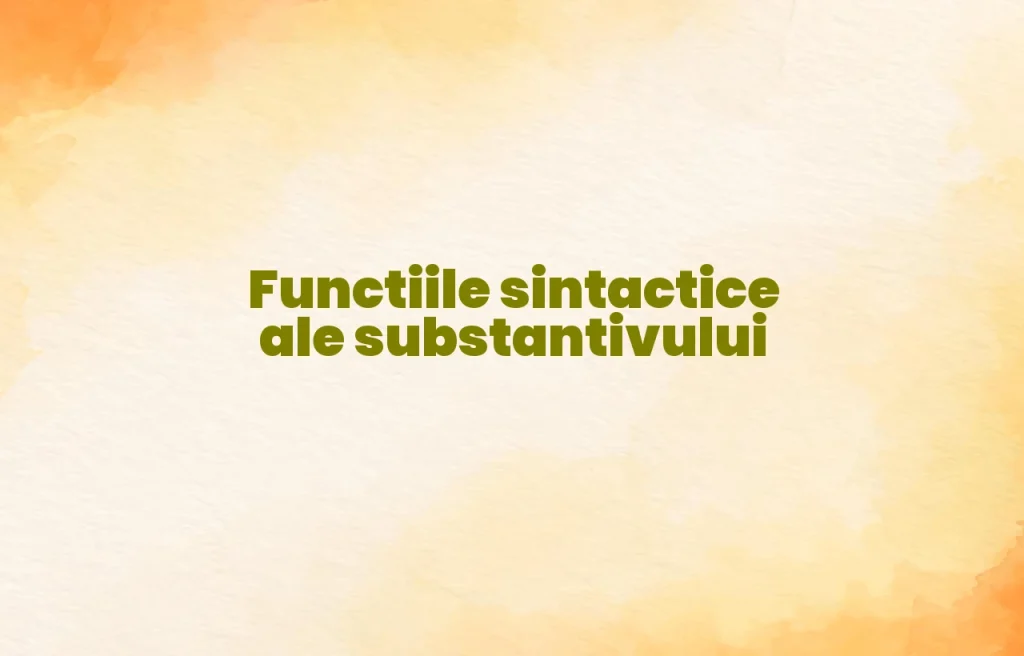 functii sintactice substantiv
