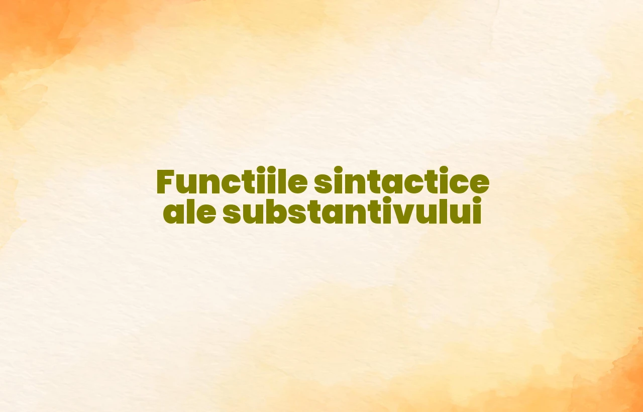 Functiile sintactice ale substantivului